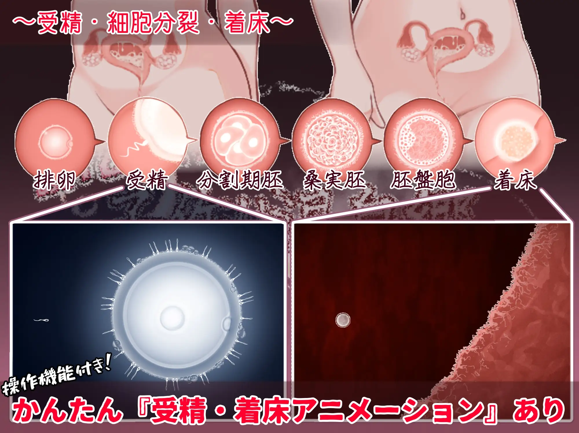 更新[日式RPG/西瓜肚/动态] 欢迎来到！孕育温泉乡 おいでませ！子作り温泉郷 V1.10 内嵌AI汉化版+作弊码 [PC+安卓 970M]