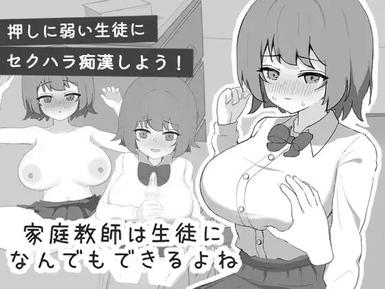 新汉化[互动SLG/抚摸触摸/动态] 家庭教师对学生什么都能做吧 家庭教師は生徒になんでもできるよね 内嵌AI汉化版 [140M]